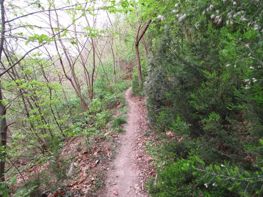 Dettaglio del percorso