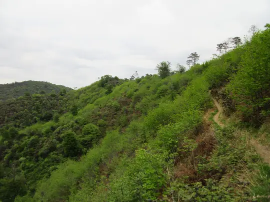 Dettaglio del percorso