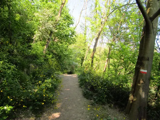 Dettaglio del percorso