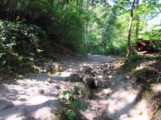 Dettaglio del percorso