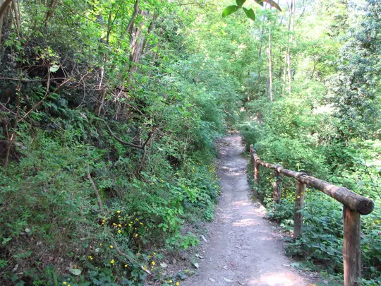 Dettaglio del percorso