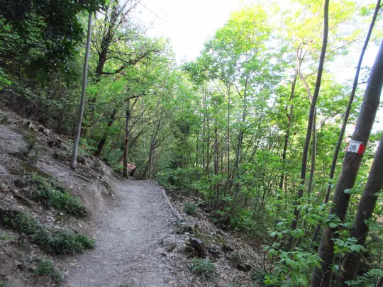 Dettaglio del percorso