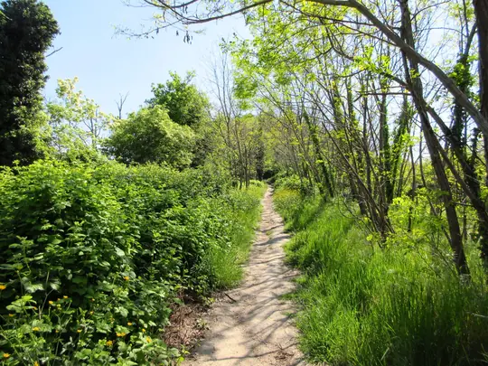 Dettaglio del percorso