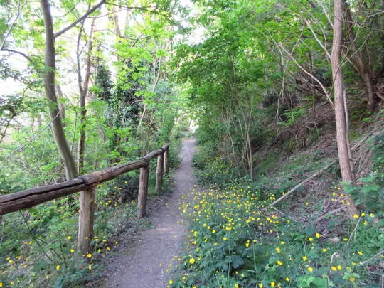 Dettaglio del percorso