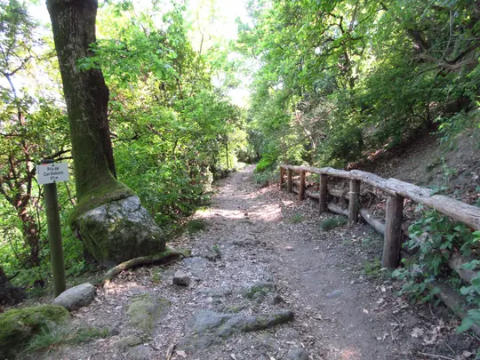 Pria del Can Rabioso