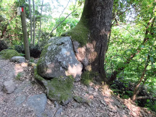 Pria del Can Rabioso