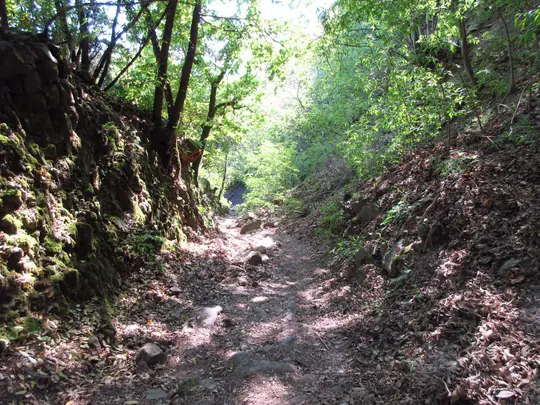 Dettaglio del percorso