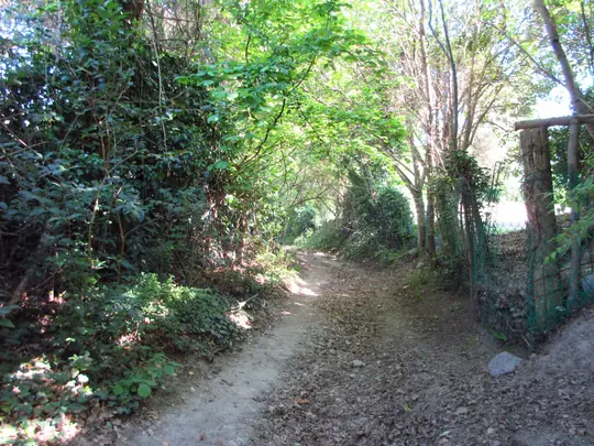 Dettaglio del percorso