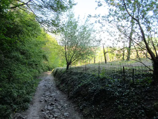 Dettaglio del percorso