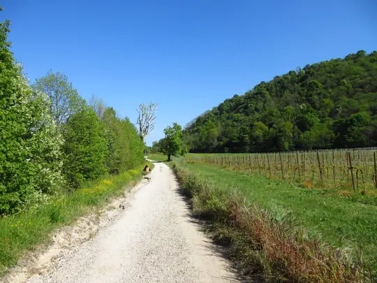 Dettaglio del percorso verso l'incrocio