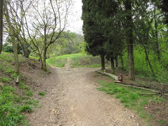 Dettaglio del percorso