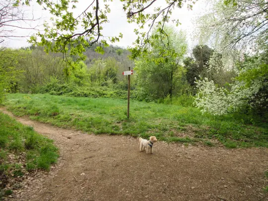 Dettaglio del percorso