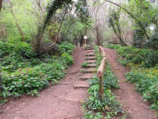 Dettaglio delle scalette