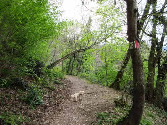 Dettaglio del percorso