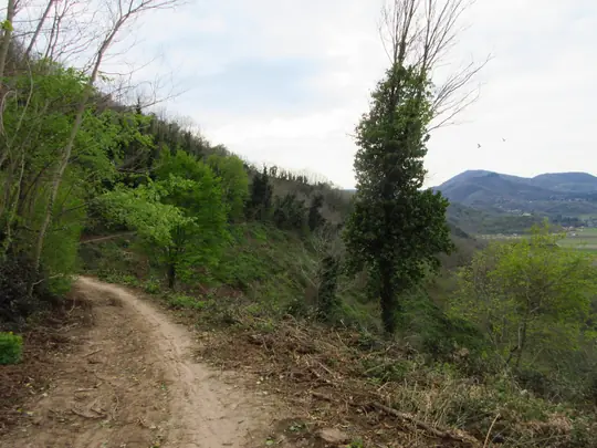 Dettaglio del percorso