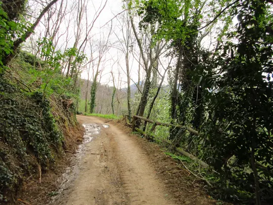 Dettaglio del percorso