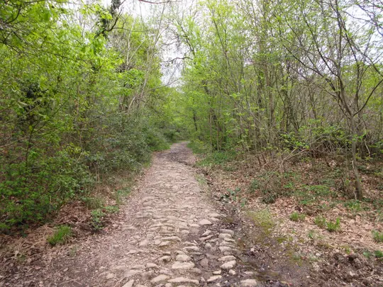 Dettaglio del percorso