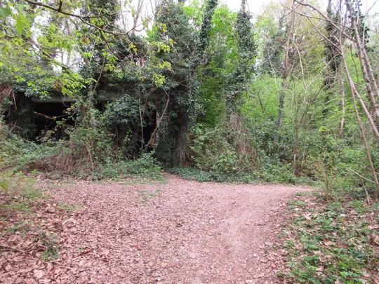 L'edificio mimetizzato dalla vegetazione