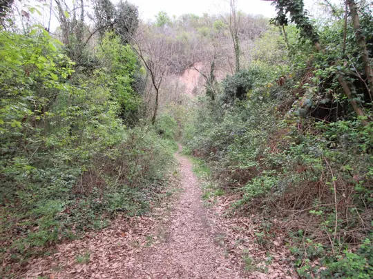 Sentiero verso la cava