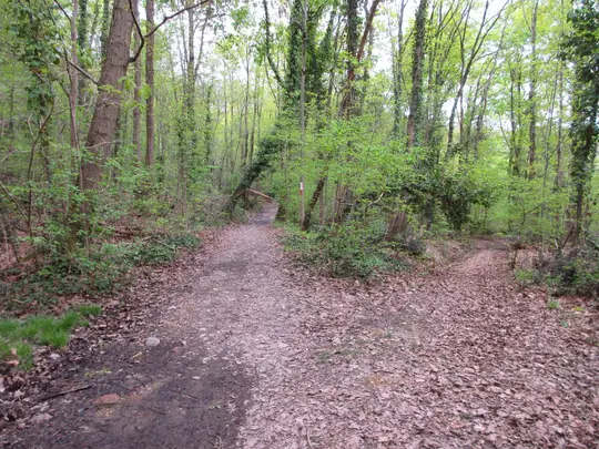 Dettaglio del percorso