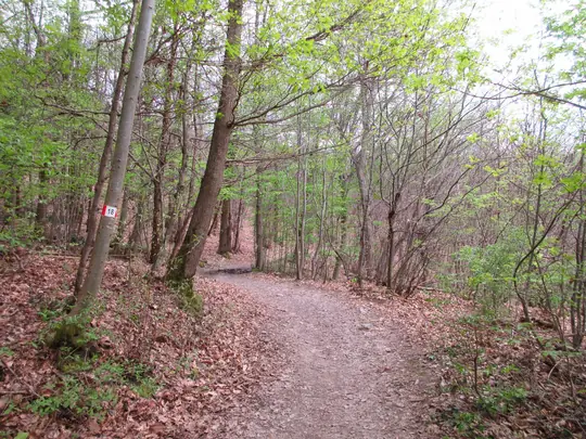 Dettaglio del percorso