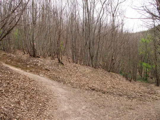 Si prosegue a sinistra