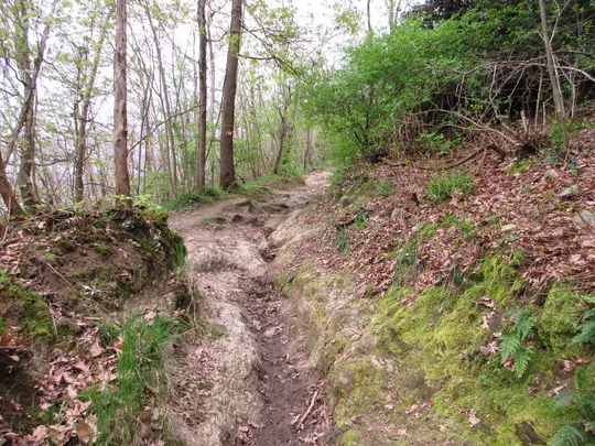 Dettaglio della salita