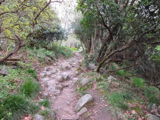 Dettaglio della salita