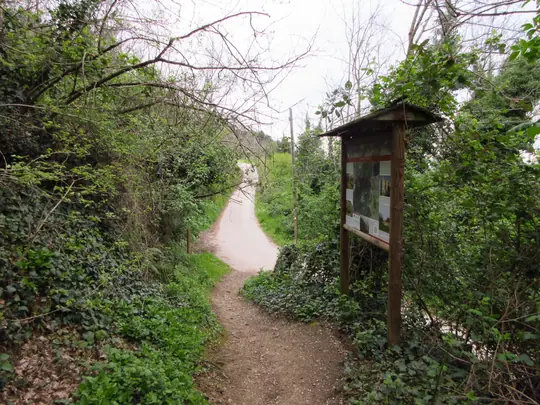 Termine del sentiero