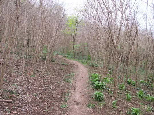 Dettaglio del percorso