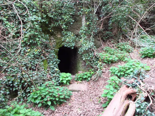 Ingresso di una grotta