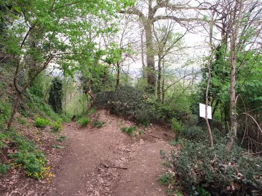 Dettaglio del percorso