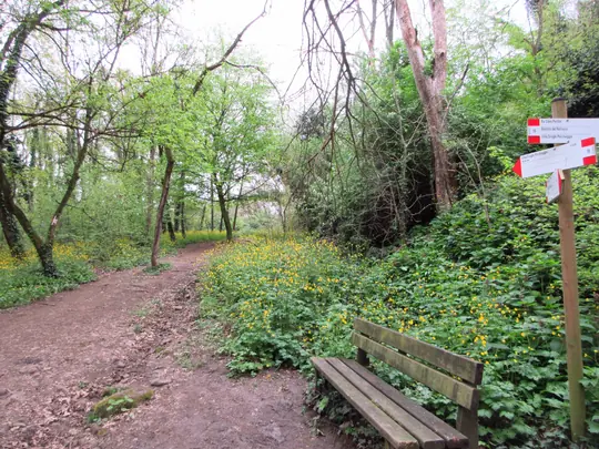 Percorso dopo la scaletta