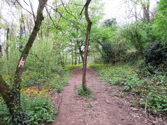 Dettaglio del percorso