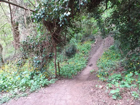 Dettaglio della salita