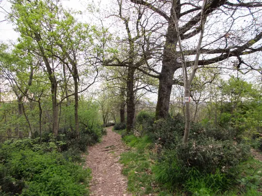 Dettaglio del percorso