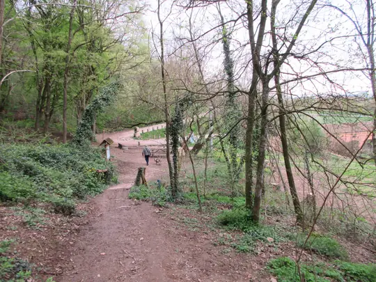 Verso il secondo tornante della villa