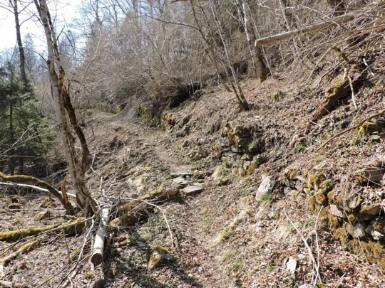 Sentiero verso Bezzoi