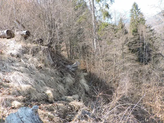 Passaggio oltre il prato