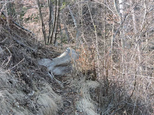 Passaggio oltre il prato