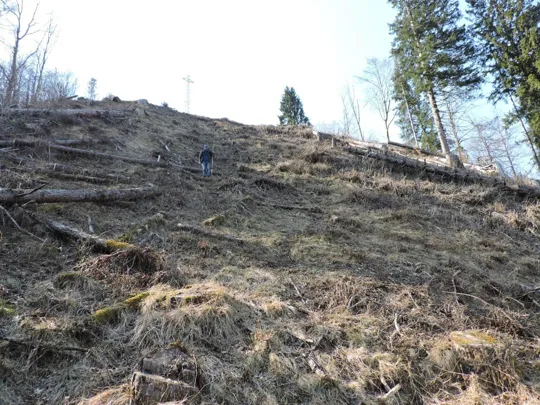 La ripida discesa (vista da sotto)