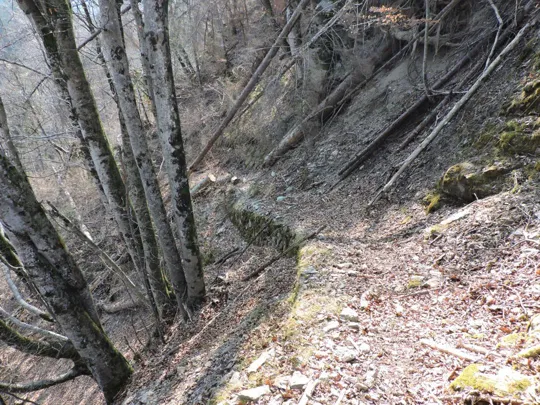 Il sentiero originale