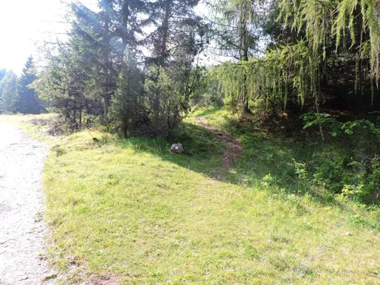 Corno Battisti - inizio del sentiero