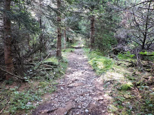 Corno Battisti - particolari del sentiero