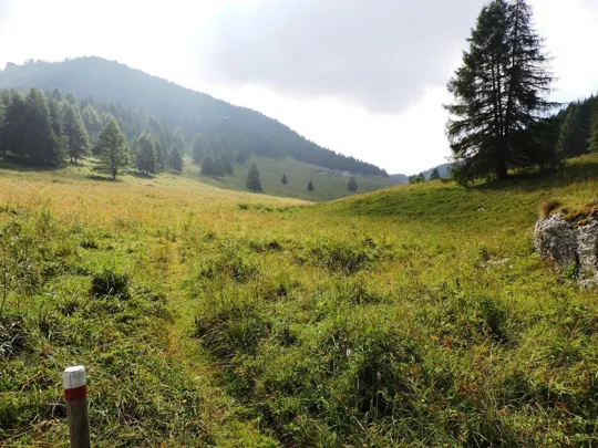Corno Battisti - nei pressi di malga Zocchi