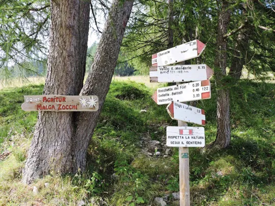 Corno Battisti - nei pressi di malga Zocchi