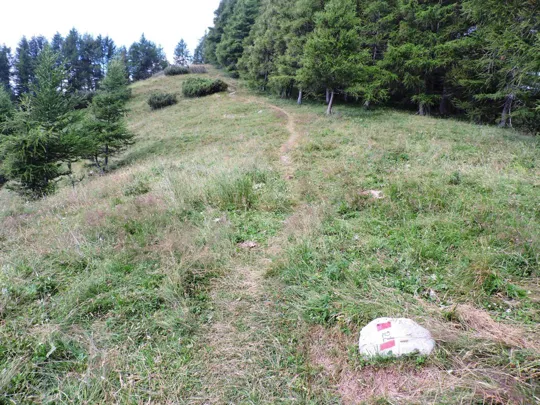 Corno Battisti - bocchetta dei Foxi