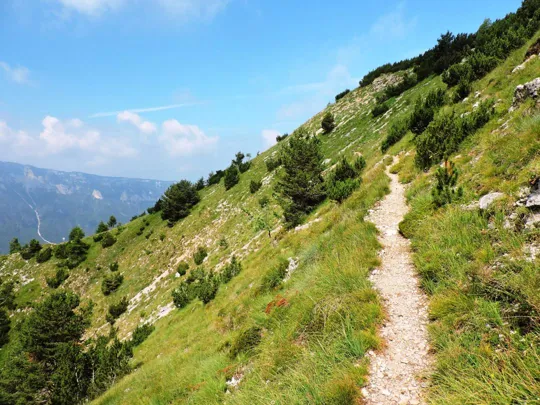 Corno Battisti - particolare del sentiero