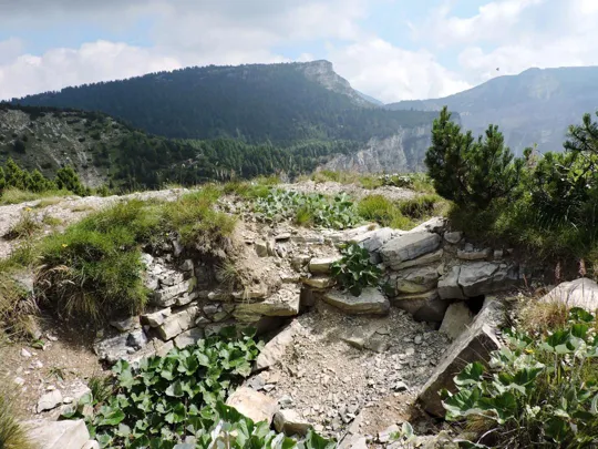 Corno Battisti - ultimi tratti del sentiero