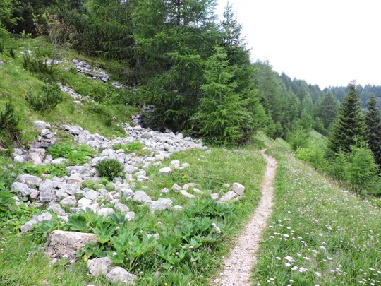 Corno Battisti - particolari del sentiero